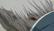 What happens to the host of a parasite bee after the bee leaves. The host ages then dies.(Anime)