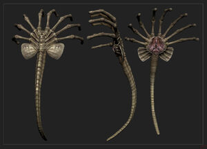 Facehugger textured 905