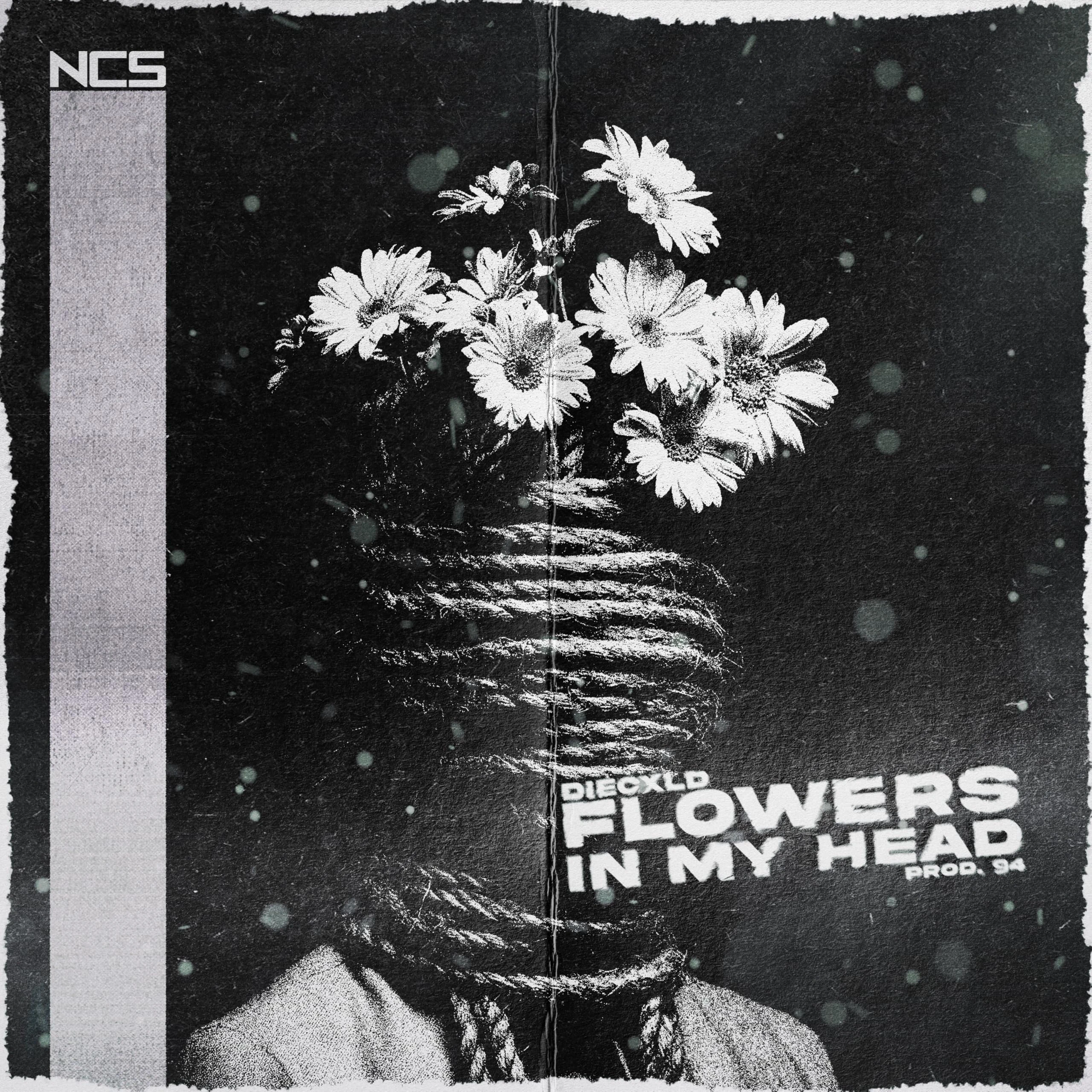 flowers in my head | NoCopyrightSounds Wiki | Fandom
