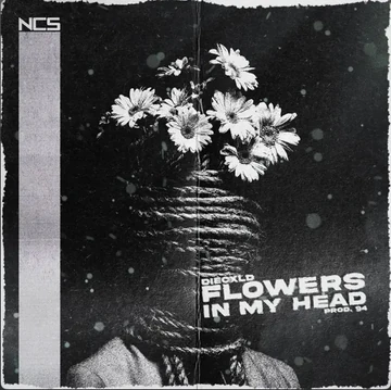 flowers in my head | NoCopyrightSounds Wiki | Fandom