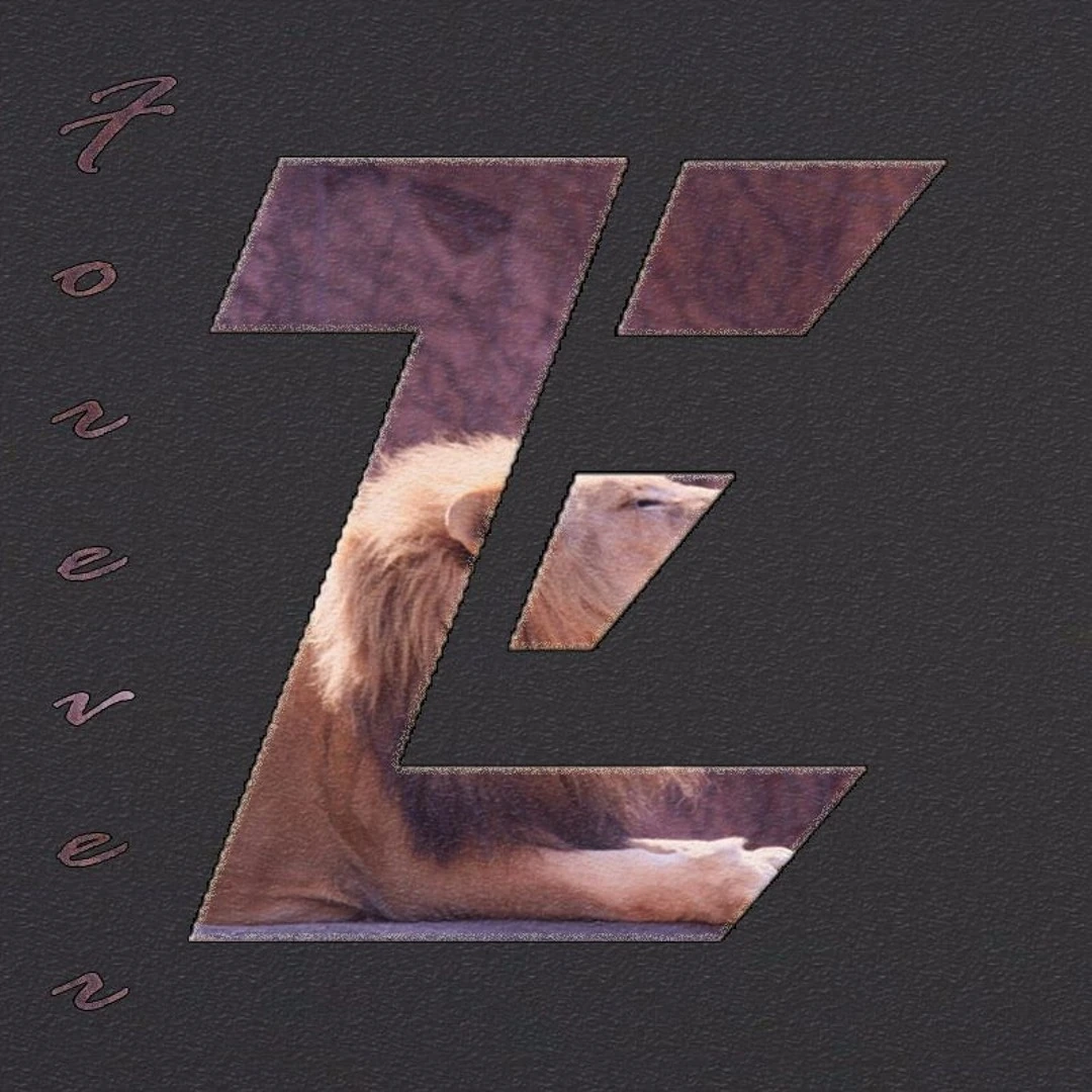 Forever | NoCopyrightSounds Wiki | Fandom