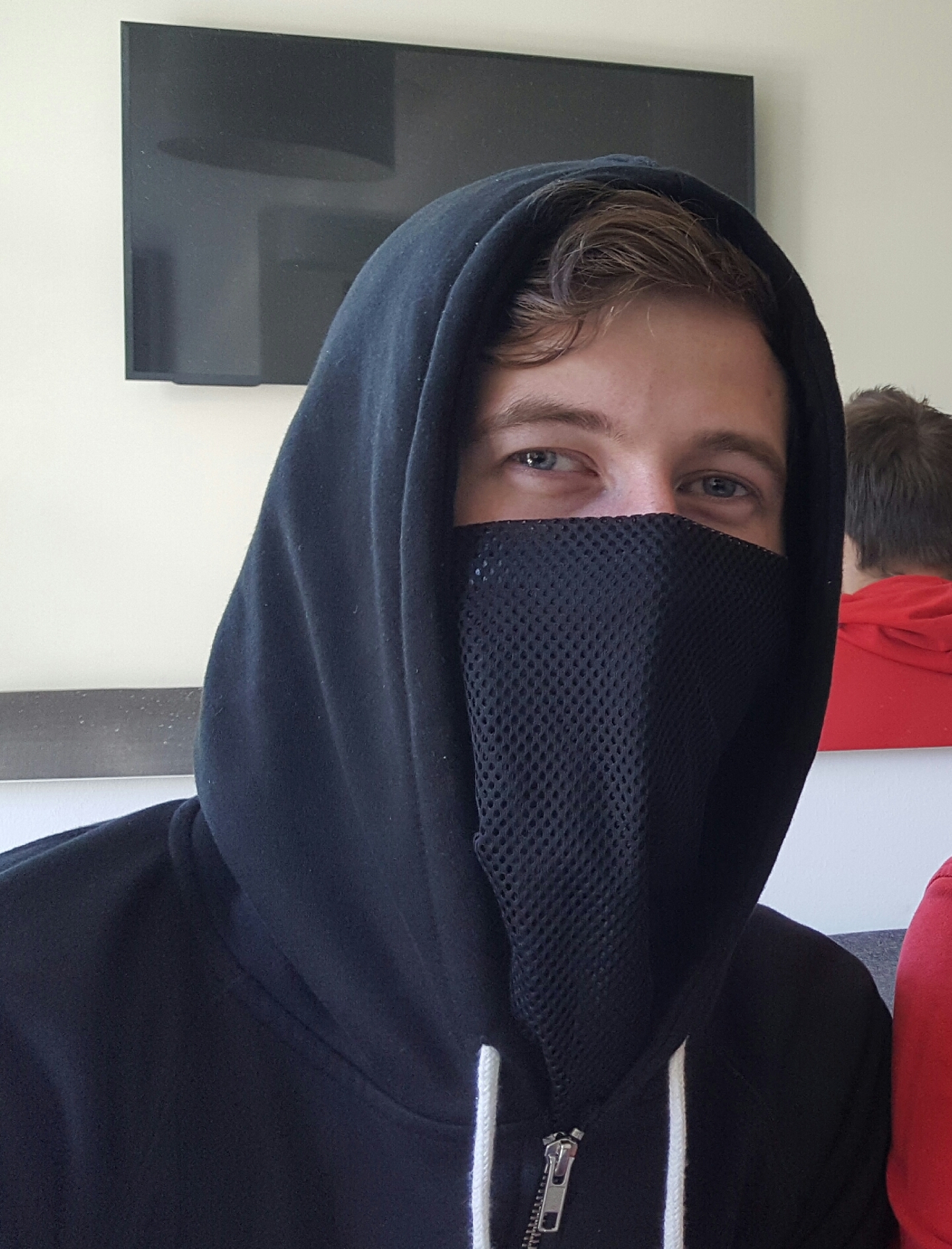 Alan Walker – Artists