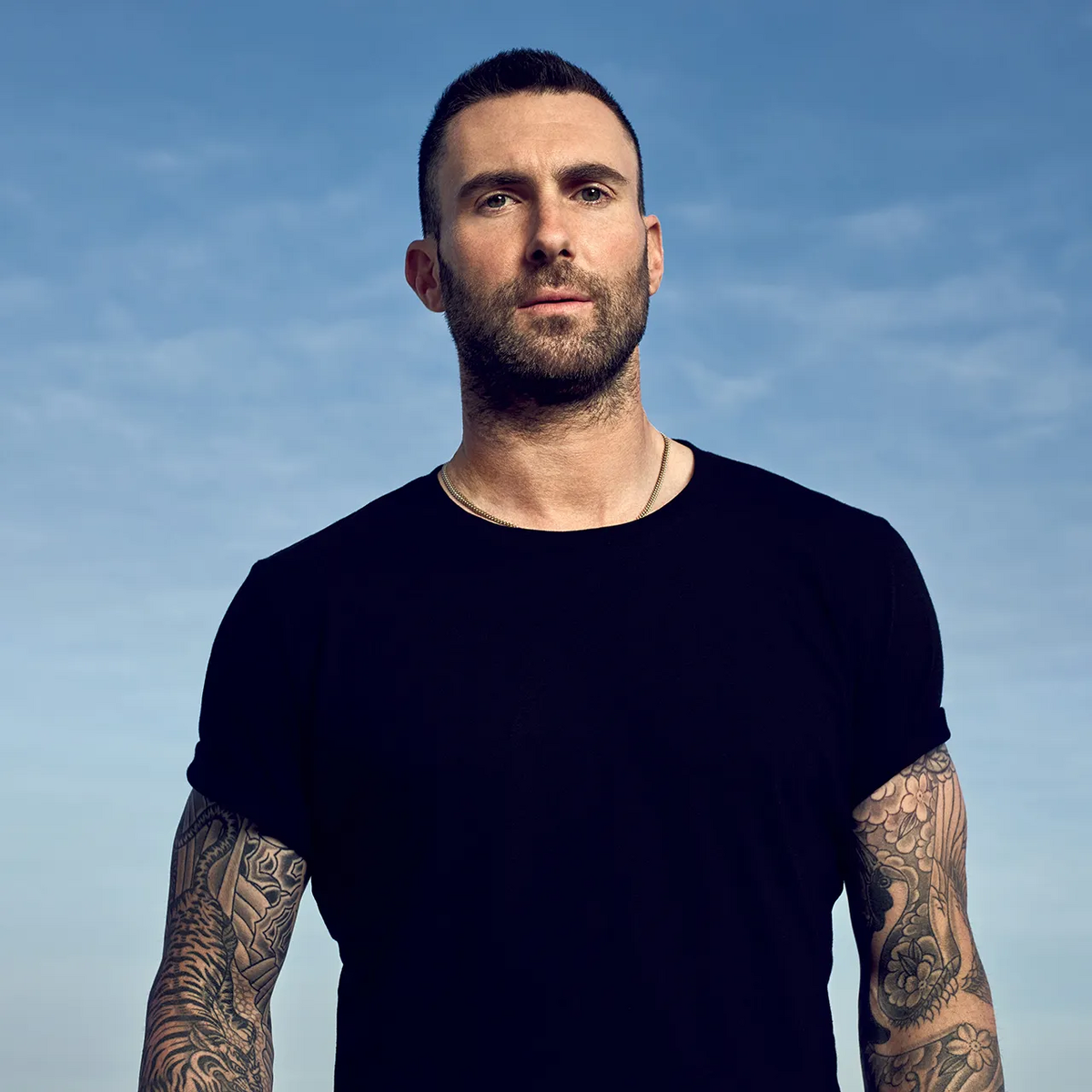 Adam Levine | NoCopyrightSounds Wiki | Fandom