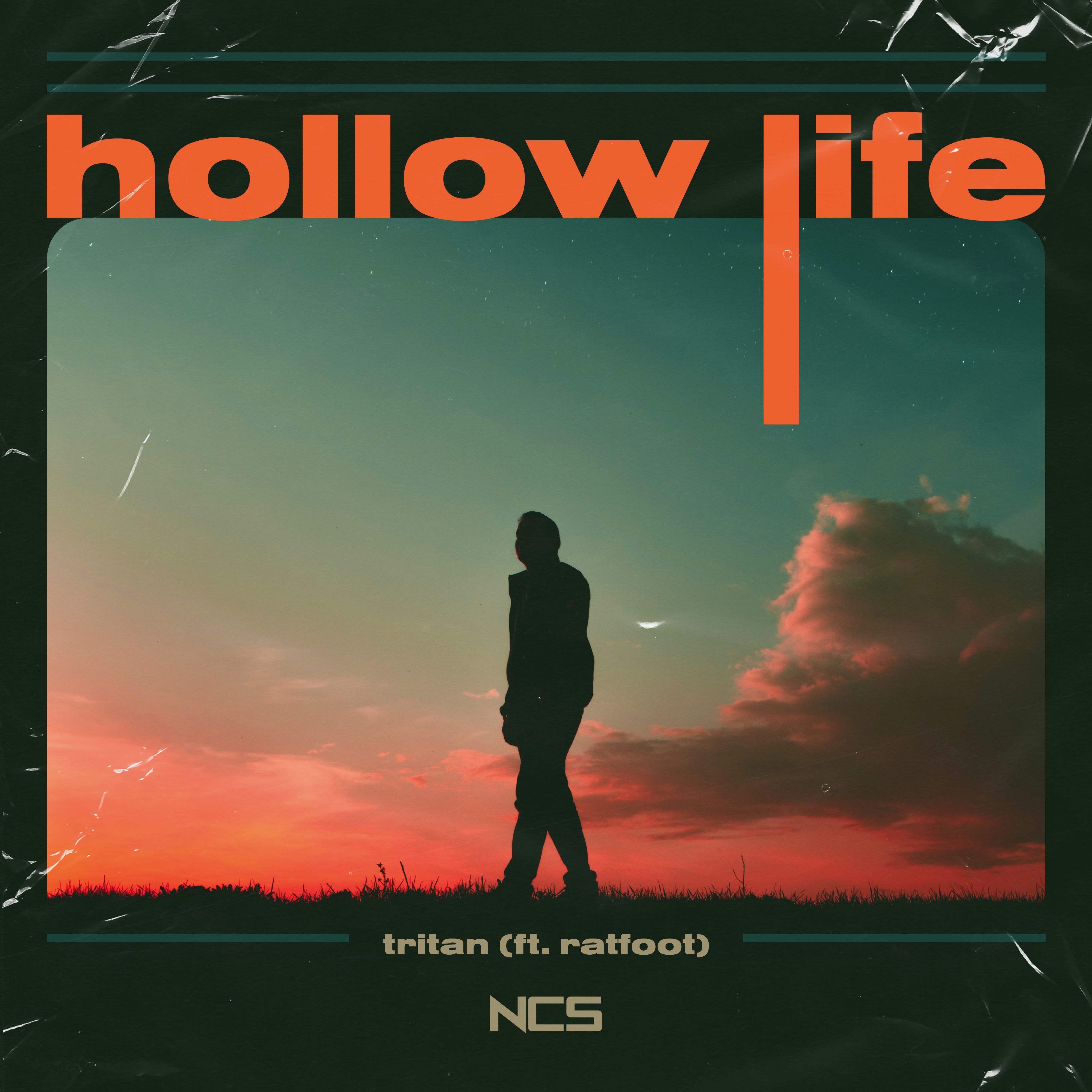 Life In A Hollow Life In A Hollow