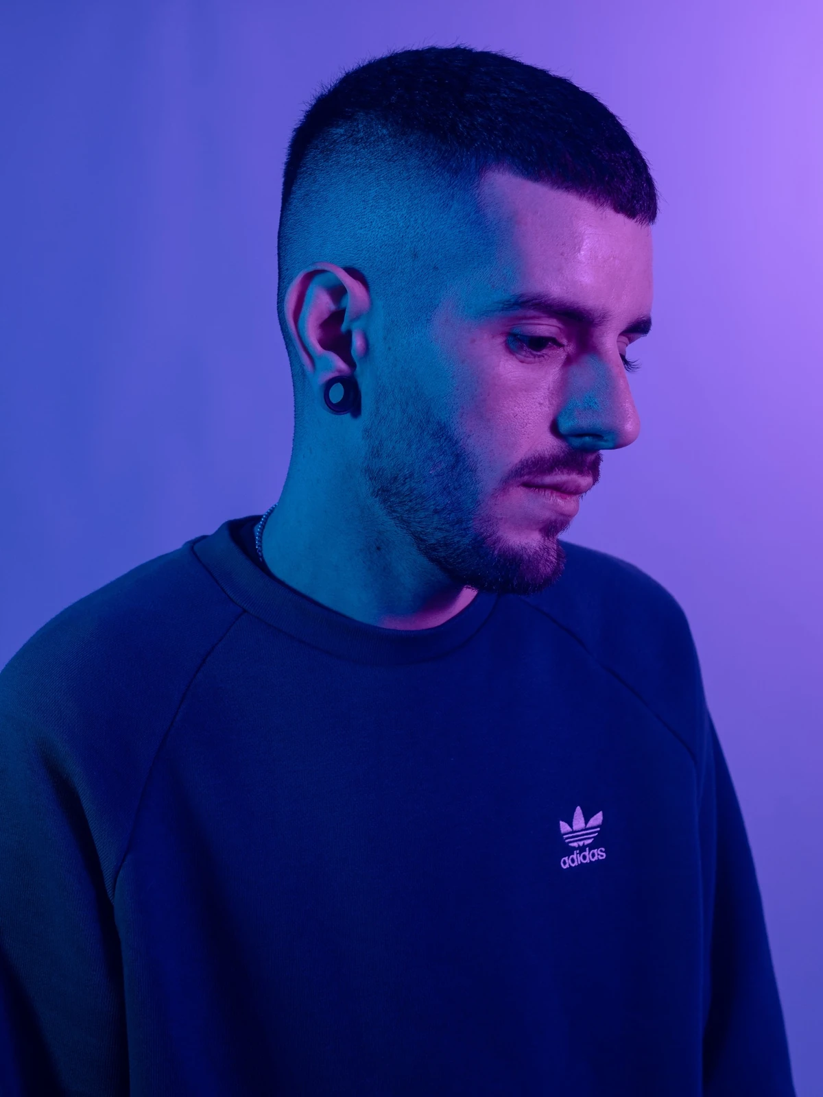 frannabik-nocopyrightsounds-wiki-fandom