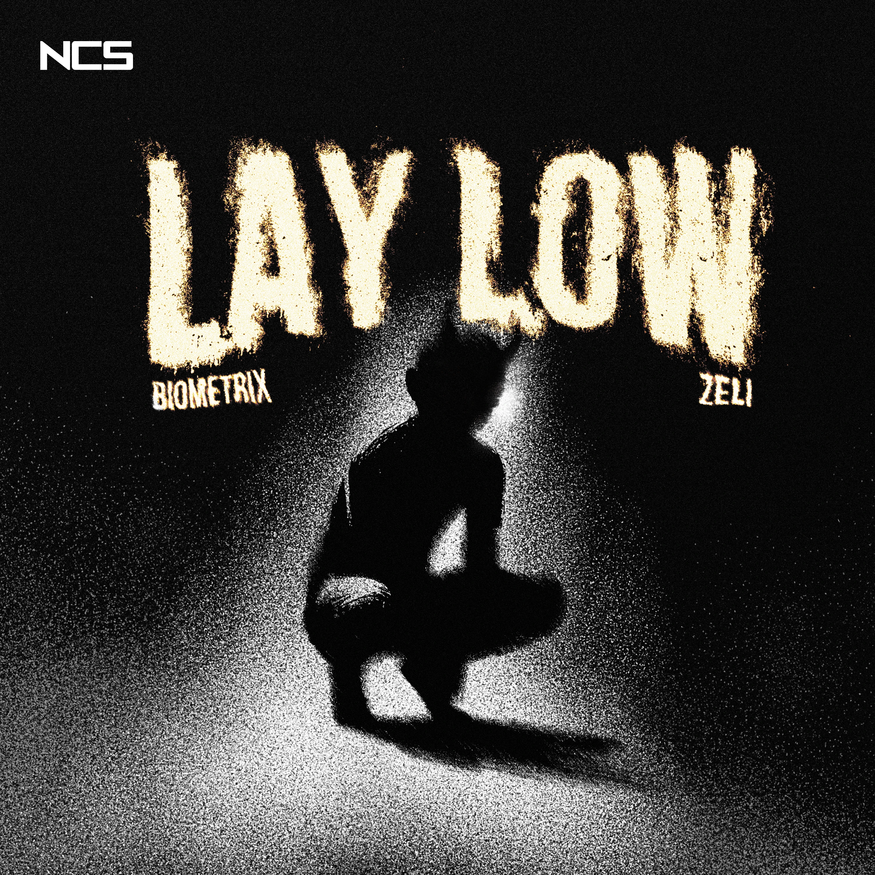 Lay Low | NoCopyrightSounds Wiki | Fandom