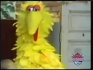2001-07-11 0200am Sesame Street Unpaved.webp (8 KB) The airing of Episode 8...