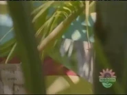 5408.png (2.31 MB) The airing of Episode 3870 in June, July or 2005