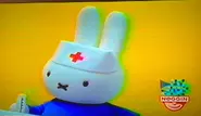 The airing of Miffy Plays Doctor / Miffy's Mother's Day Present / Miffy at a Costume Party / Miffy's Musical Day on February 20, 2006[8]