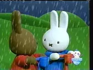 The airing of Miffy in the Wind / Miffy and the Seasons on January 23, 2005[6]