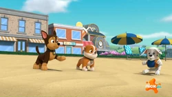 2025-01-14 2230pm PAW Patrol