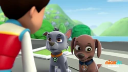 2021-09-30 0600am PAW Patrol