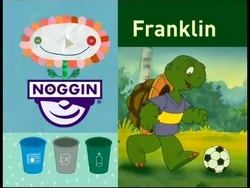 Noggin Recycling Night Franklin