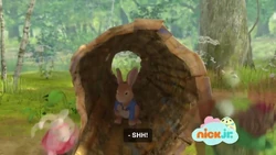 2015-04-05 0800am Peter Rabbit