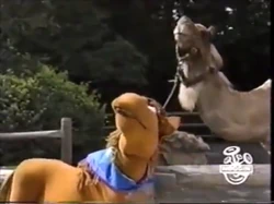 2002-03-XX 0400am Sesame Street Unpaved