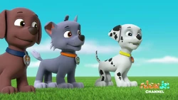 2021-11-26 0600am PAW Patrol