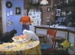 The N Clouds Screenbug (2004)