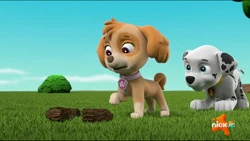 March 13, 2025 | Nickstory Jr. Wiki | Fandom