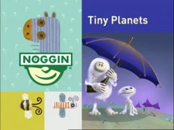 Noggin Flower Finding Tiny Planets