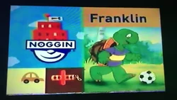 Noggin Shorter or Taller Franklin