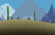 The Desert