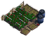 Farm-Plot-on-map 2016