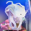 トラベラー 頭20