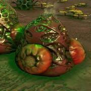 Irradiatedmutantplant