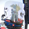 アノマリー イカの水槽