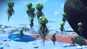 Frozenmutantplant