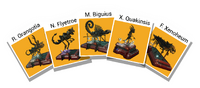 5assembledfossilsfan