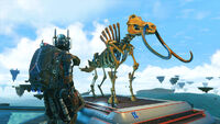 Assembled-fossils-7