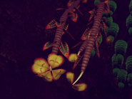 Anomial plant from the same planet with similar leaves