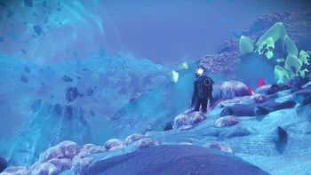 探検17：タイタン 2025/2/12～6週間