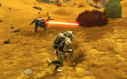 コンパニオン No Man S Sky ノーマンズスカイ 日本語wiki Fandom