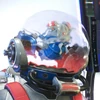 アノマリー エビの水槽
