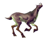 Heaviest terrestrial animal: Indeterminate gender of Fecurcis Ifiartr on planet Ritach Igeuphr in the Bamatokinos-Acce system of the Euclid galaxy
