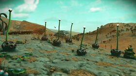 Sentientplant