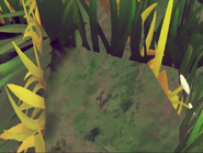 2. Vegetation emerging on the edges of sward polygons on planet Ritach Igeuphr in the Bamatokinos-Acce system of the Euclid galaxy
