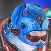 ヴァイキーン 頭4