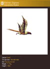 Roland fauna 7