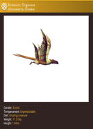 Vertebrate, side, pelvis, paired, flying auxiliary wings; fore-limb wings.