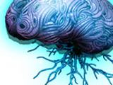 Assemblage neuronal