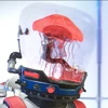 アノマリー クラゲの水槽
