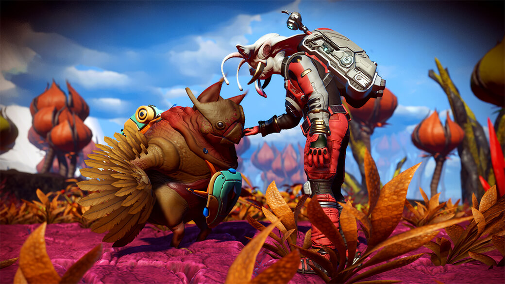 コンパニオン No Man S Sky ノーマンズスカイ 日本語wiki Fandom