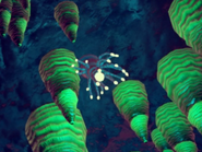 Anomial plant from the same planet with similar luminescent organs