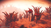 No Man's Sky 20211112044957