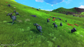 Herd
