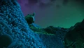 Night on Loreen