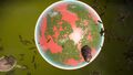 Planet view
